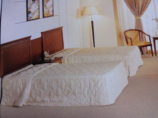 點(diǎn)擊查看詳細(xì)信息<br>標(biāo)題：客房系列 閱讀次數(shù)：2157